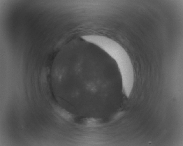 X0000081330229200702082210