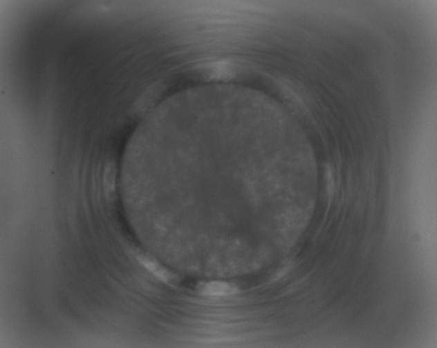 X0000081330230200702082210