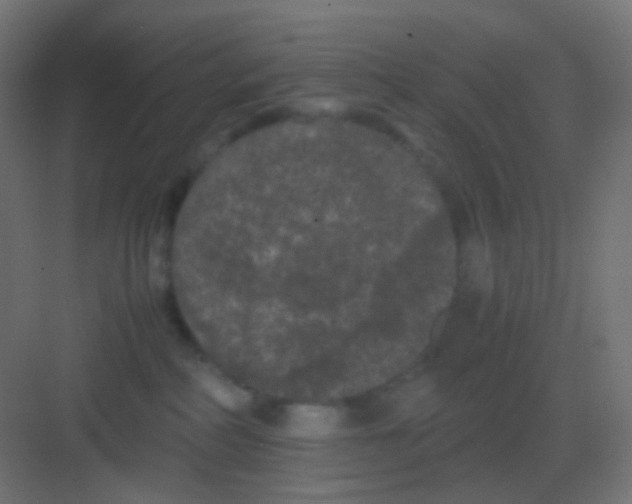 X0000081330234200702082210