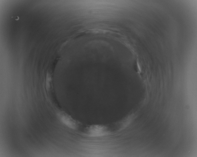 X0000081330235200702082210