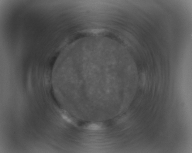 X0000081330236200702082210