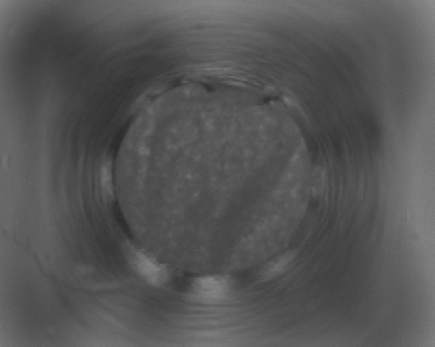 X0000081330238200702082210