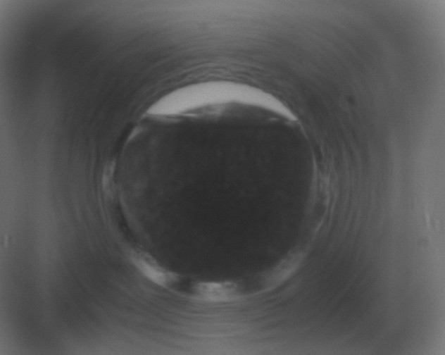 X0000081330239200702082210