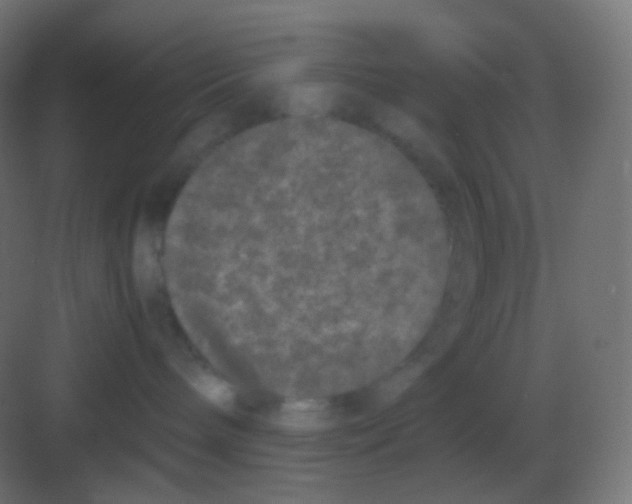 X0000081330240200702082210