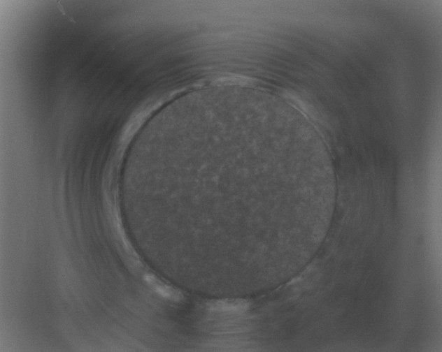 X0000081330241200702082209