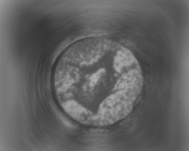 X0000081330242200702082209