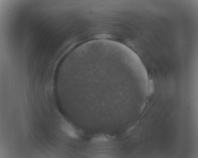 X0000081330243200702082209