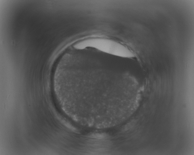 X0000081330247200702082209