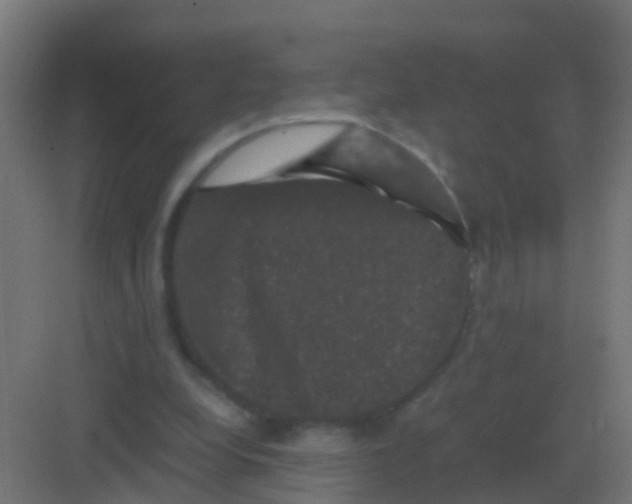 X0000081330248200702082209