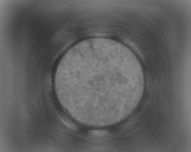 X0000081330251200702082209