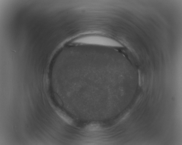 X0000081330252200702082209