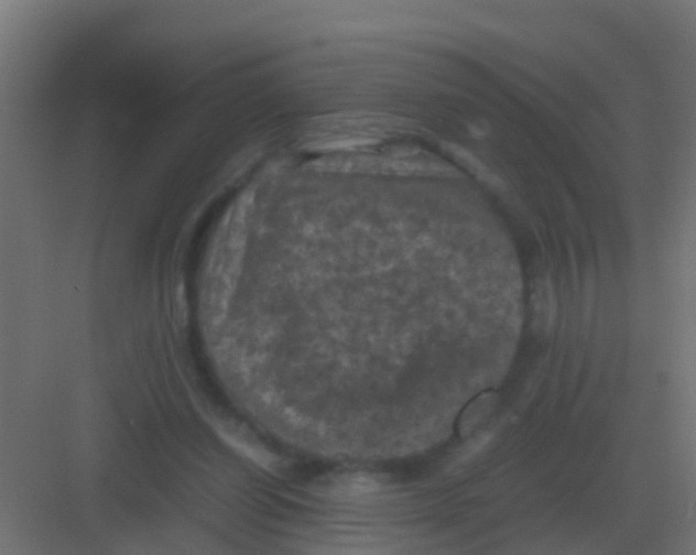 X0000081330254200702082209