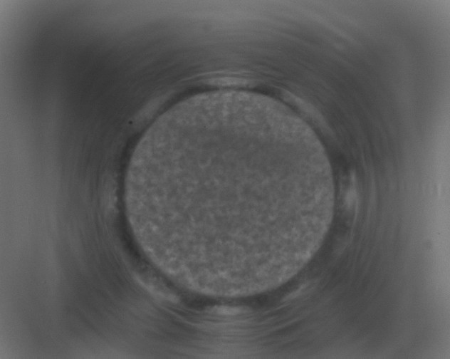 X0000081330255200702082209