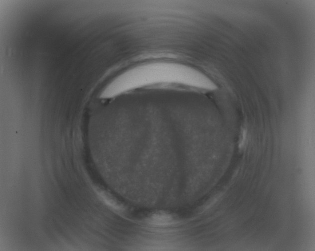 X0000081330256200702082209