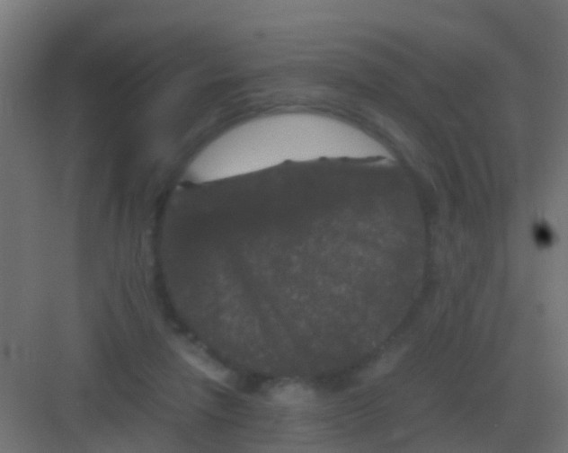 X0000081330258200702082210