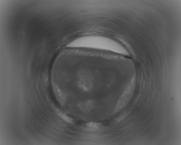 X0000081330261200702082210