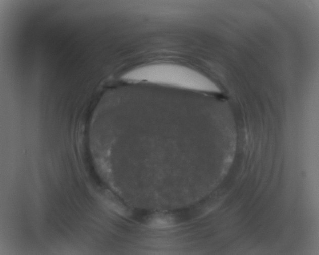 X0000081330263200702082210