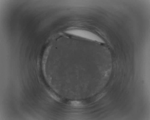 X0000081330265200702082210