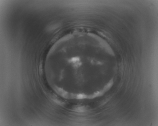 X0000081330267200702082210