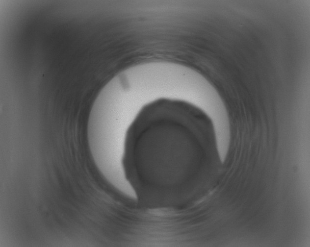 X0000081330268200702082210