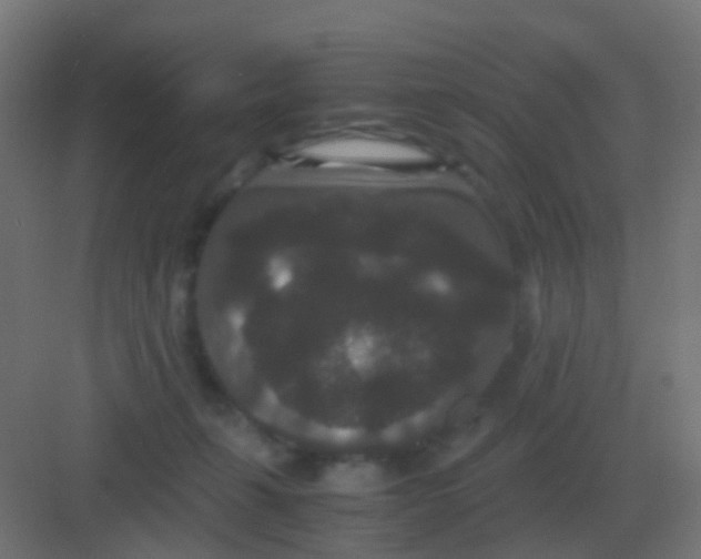 X0000081330271200702082210