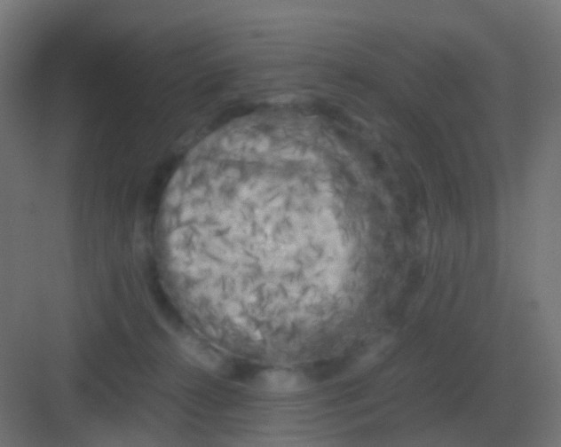 X0000081330272200702082210