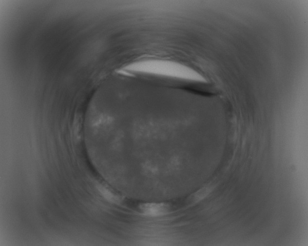 X0000081330273200702082210