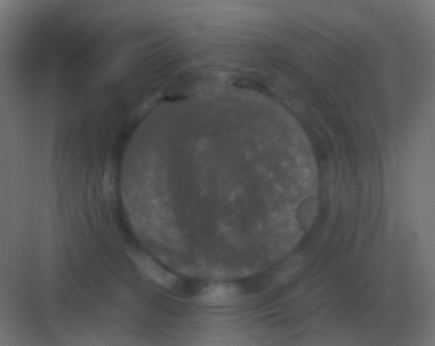 X0000081330274200702082210