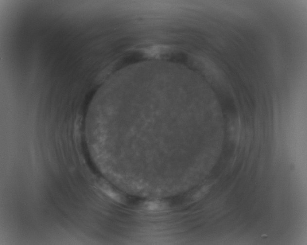 X0000081330275200702082210