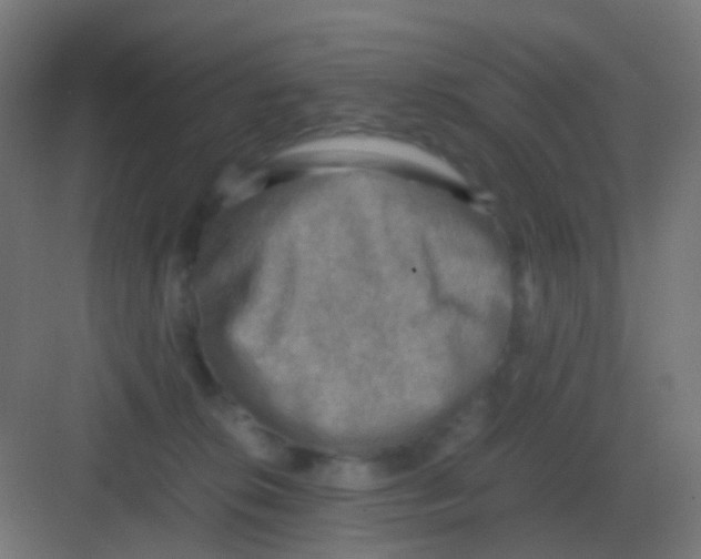 X0000081330276200702082210