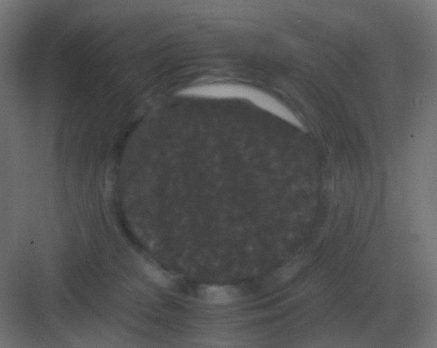 X0000081330277200702082210