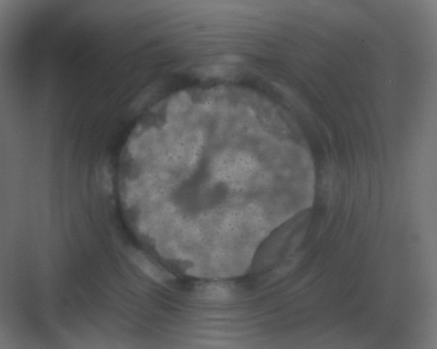 X0000081330282200702082210