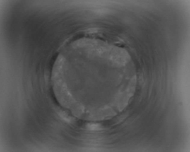 X0000081330283200702082210