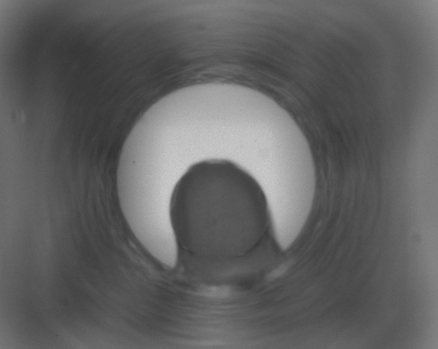 X0000081330284200702082210