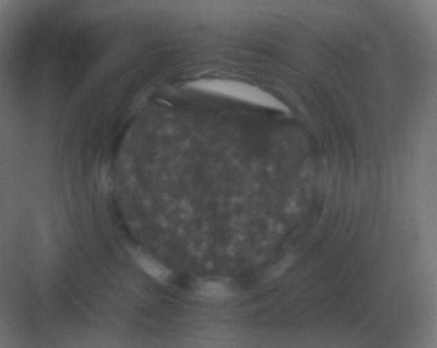 X0000081330285200702082210