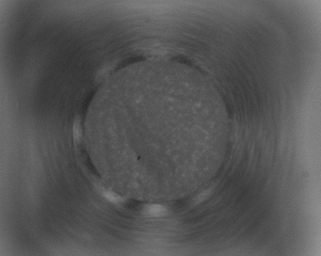 X0000081330287200702082210