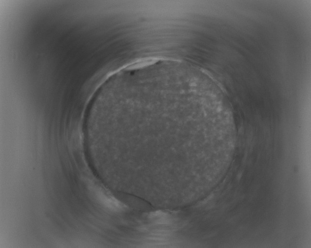 X0000081330290200702082209