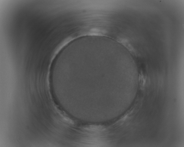 X0000081330292200702082209