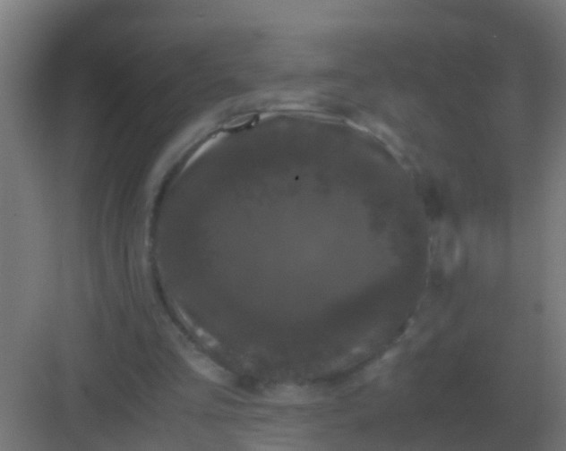 X0000081330293200702082209