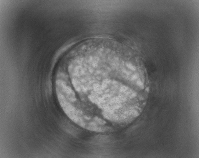 X0000081330294200702082209