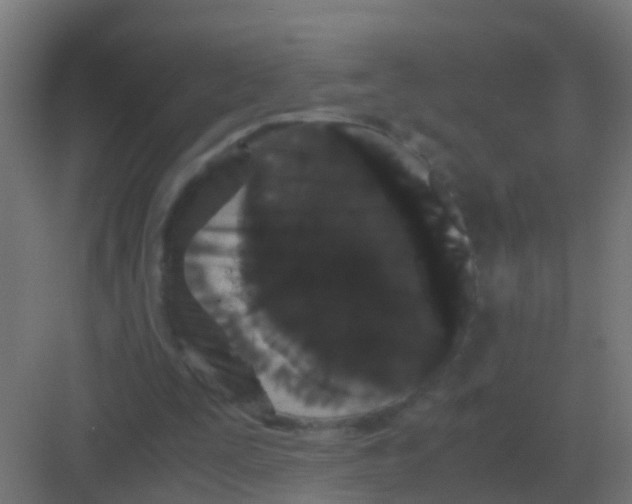 X0000081330295200702082209