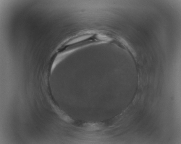 X0000081330297200702082209