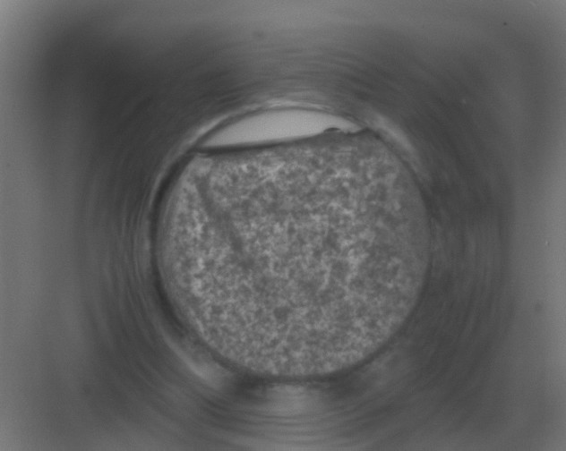 X0000081330298200702082209