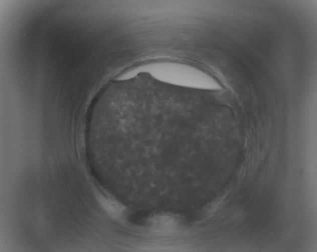 X0000081330299200702082209