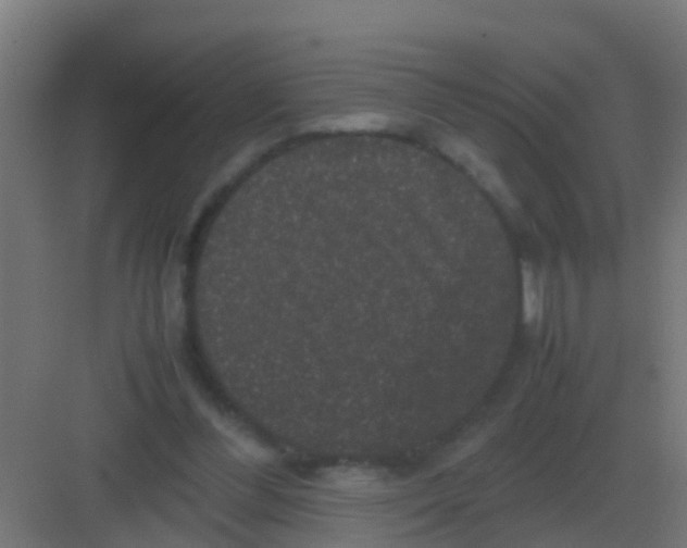 X0000081330300200702082209