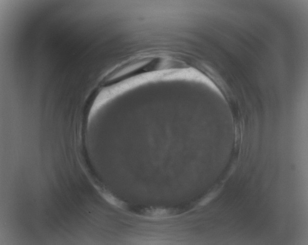 X0000081330301200702082209