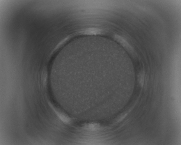 X0000081330304200702082209