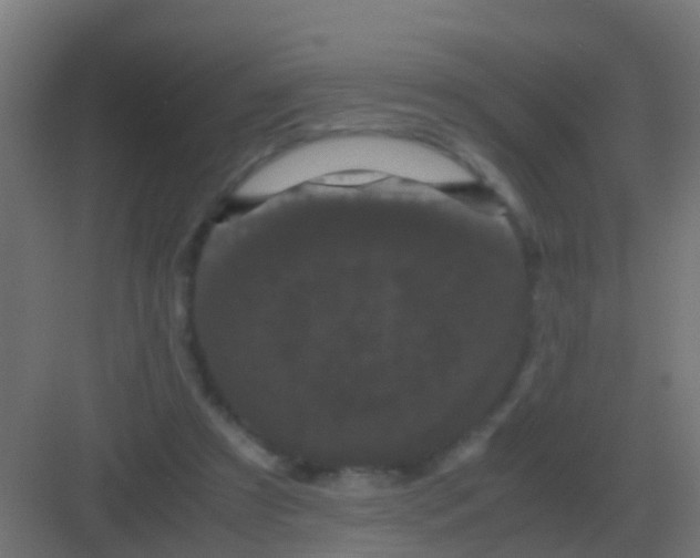 X0000081330305200702082209