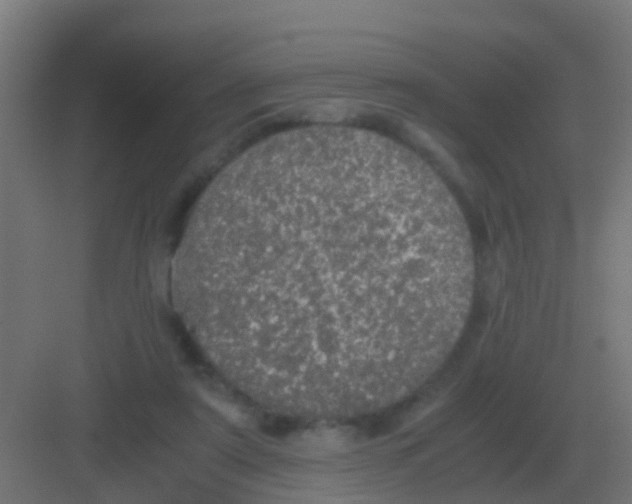 X0000081330307200702082209