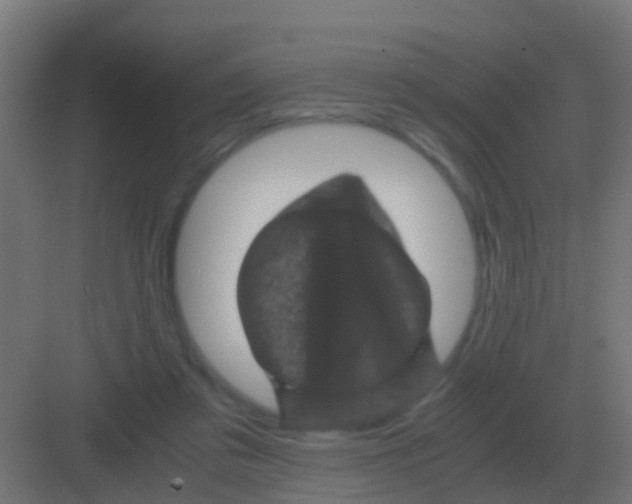 X0000081330309200702082209